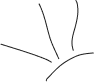 về hình dạng